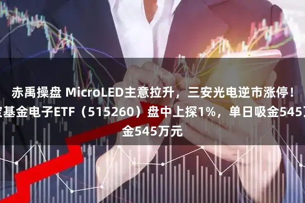 赤禹操盘 MicroLED主意拉升，三安光电逆市涨停！华宝基金电子ETF（515260）盘中上探1%，单日吸金545万元
