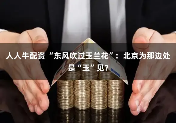 人人牛配资 “东风吹过玉兰花”：北京为那边处是“玉”见？