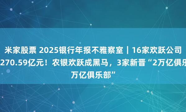 米家股票 2025银行年报不雅察室|16家欢跃公司净赚270.59亿元!农银欢跃成黑马,3家新晋“2万亿俱乐部”