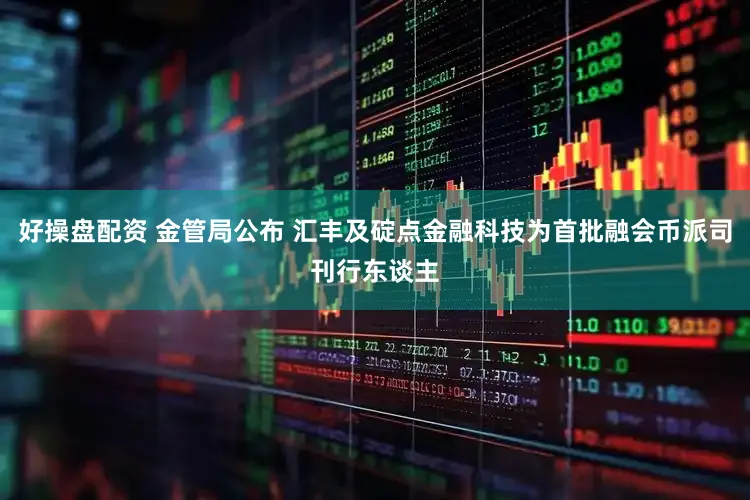 好操盘配资 金管局公布 汇丰及碇点金融科技为首批融会币派司刊行东谈主