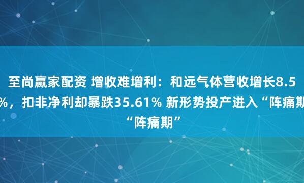 至尚赢家配资 增收难增利：和远气体营收增长8.55%，扣非净利却暴跌35.61% 新形势投产进入“阵痛期”