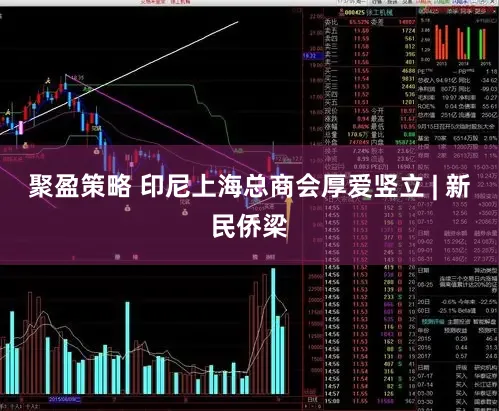 聚盈策略 印尼上海总商会厚爱竖立 | 新民侨梁
