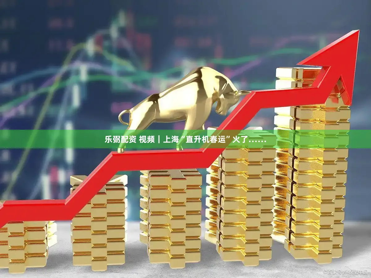 乐弼配资 视频|上海“直升机春运”火了……