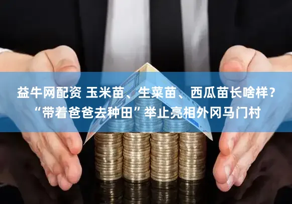 益牛网配资 玉米苗、生菜苗、西瓜苗长啥样？“带着爸爸去种田”举止亮相外冈马门村